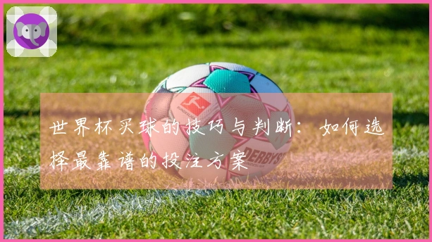 世界杯买球的技巧与判断：如何选择最靠谱的投注方案