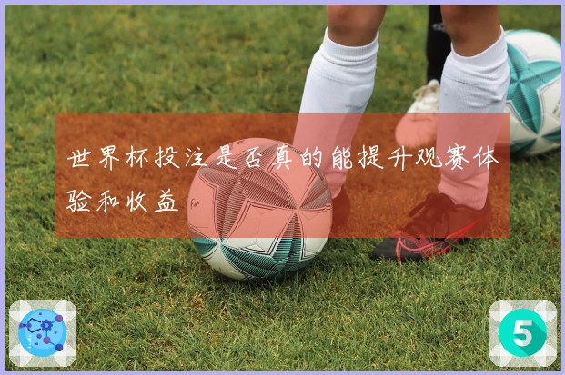 世界杯投注是否真的能提升观赛体验和收益