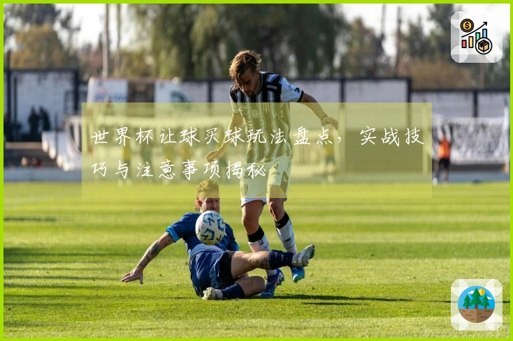 世界杯让球买球玩法盘点，实战技巧与注意事项揭秘