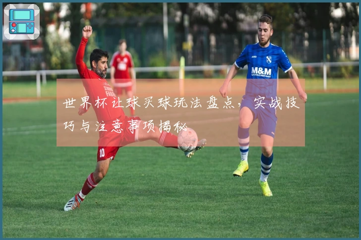 世界杯让球买球玩法盘点，实战技巧与注意事项揭秘